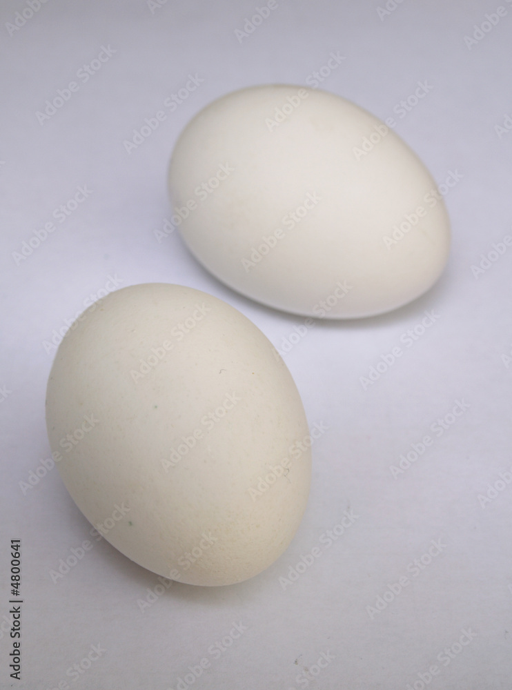 two eggs two eggs
