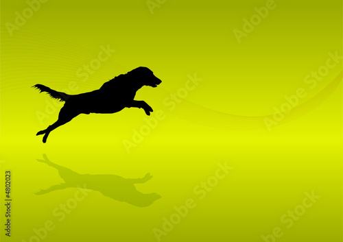 Animals Silhouette - Dog 