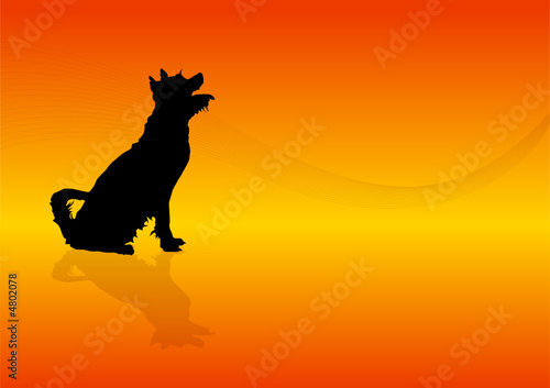 Animals Silhouette - Dog 
