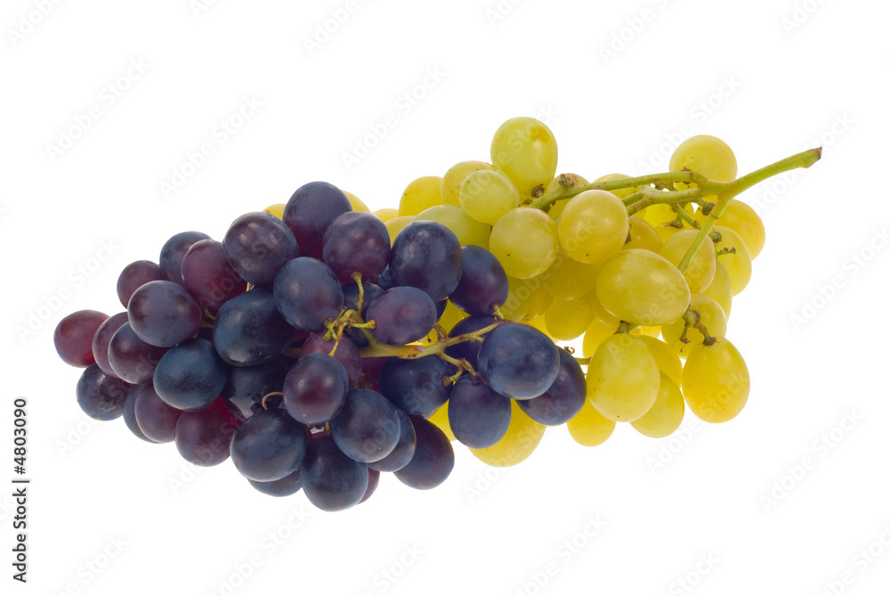 Fototapeta premium fresh grapes