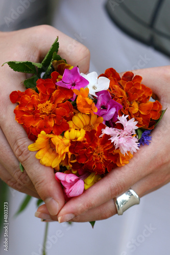 Wildflowers ilike a heart photo