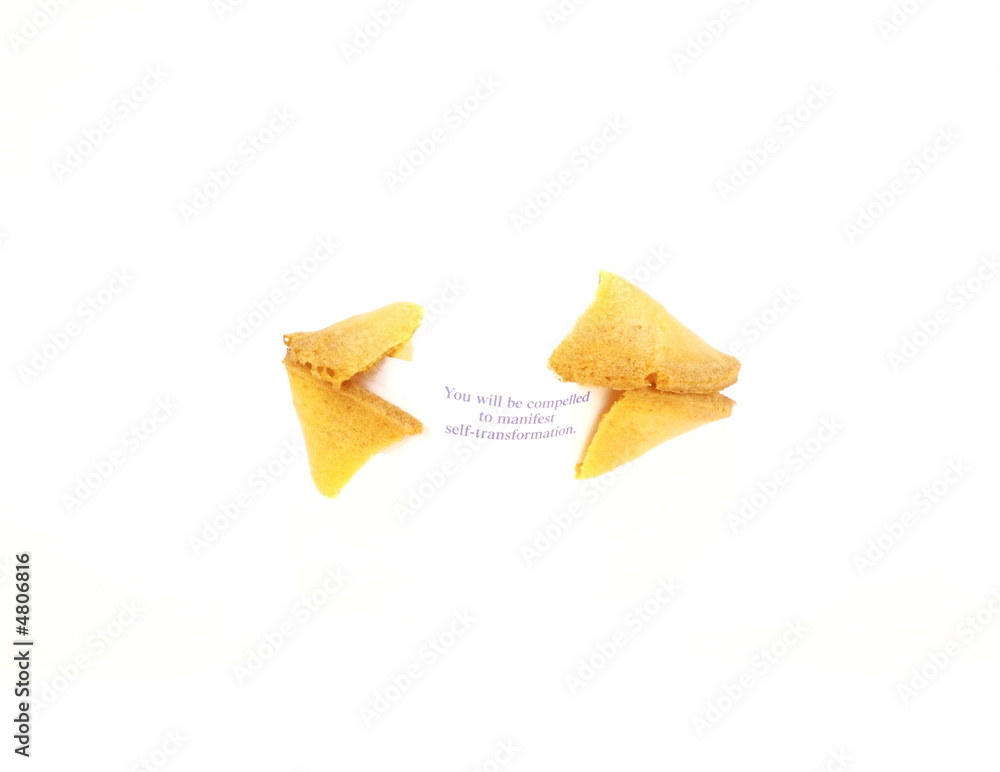 Fortune Cookie Fortune Cookie