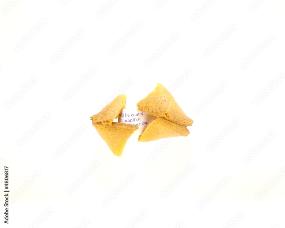 Fortune Cookie Fortune Cookie