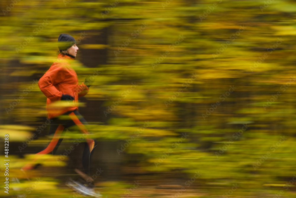 Fototapeta autumn running in the forest