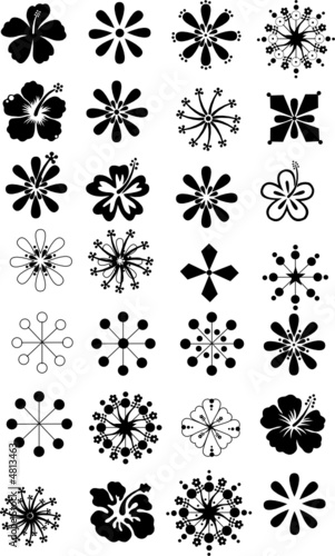 Blumenblüten