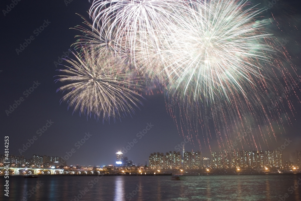 Naklejka premium Fireworks in the River