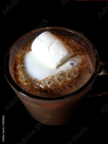 hot cocoa with big marshmallow
