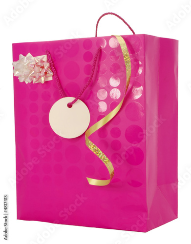 Gift Carrier Bag with Blank Gift Tag