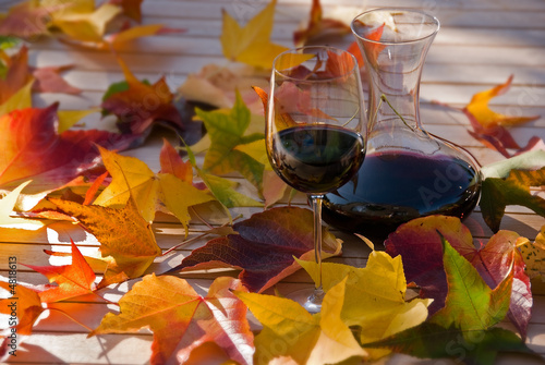 wine & leafs