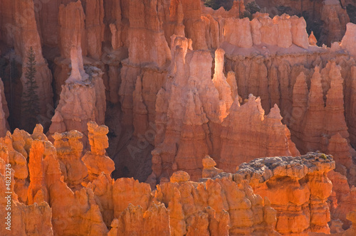Landscape Bryce Canyon National Park