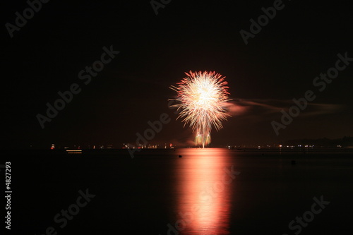 FireWork No. 8