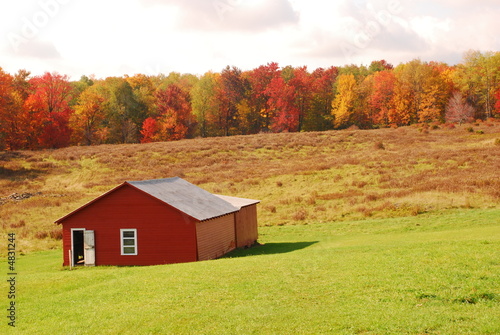 Farm Foliage