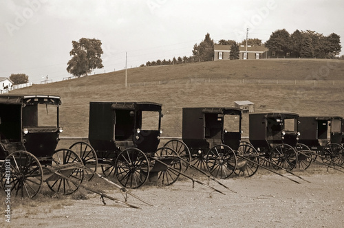 Buggy Dealer