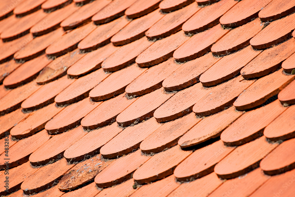 Roof Roof