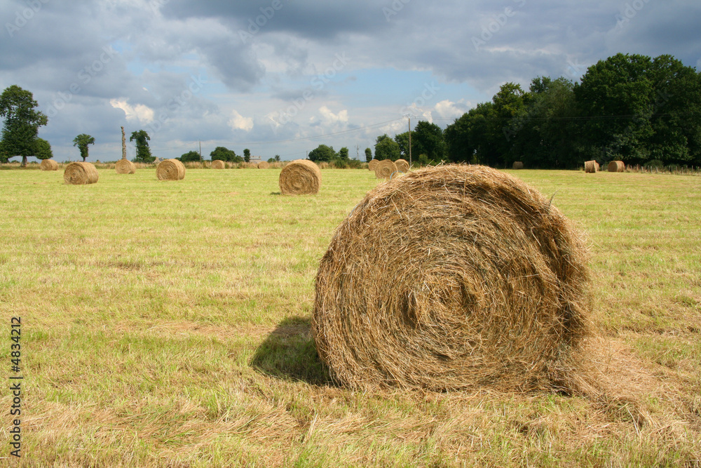 Round bale