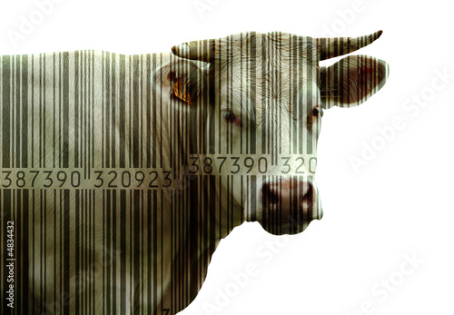 VACHE +CODE BARRE FOND BLANC