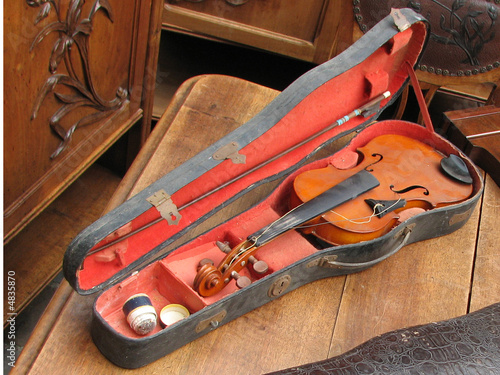 Tableau sur toile Violon