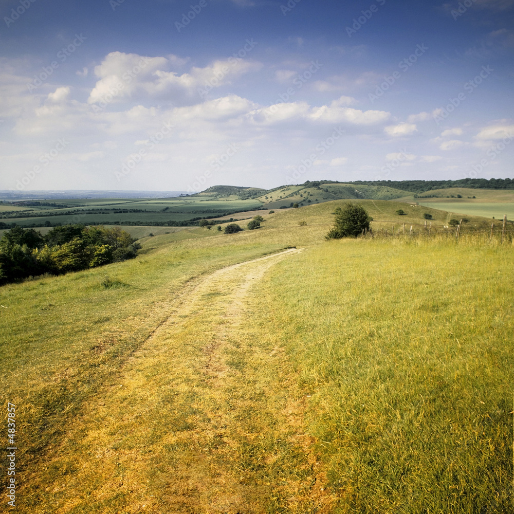 Fototapeta premium farmland