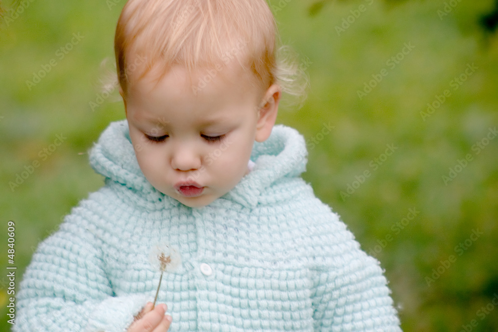 Baby glowing into dandelion Baby glowing into dandelion