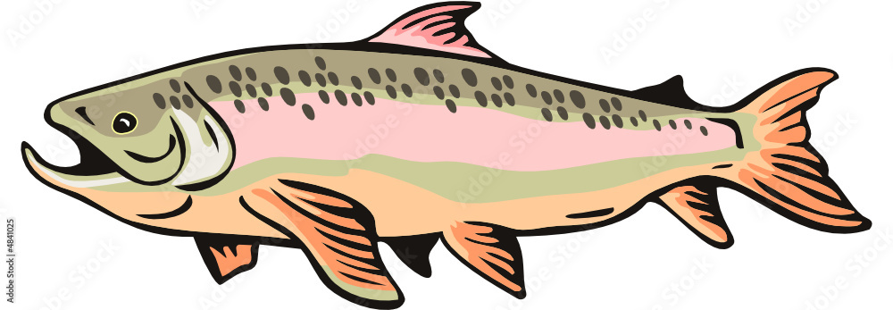 Brown trout