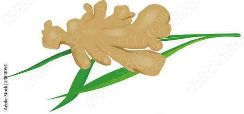 Ginger with leaves