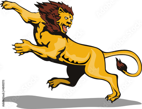 LIon attacking