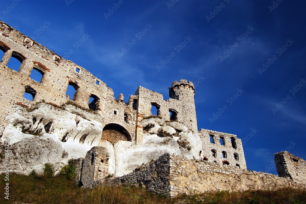 Ruin castle