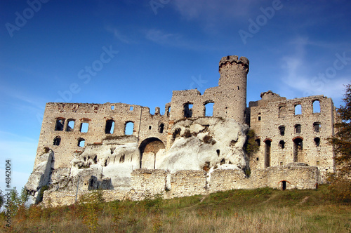 Ruin castle