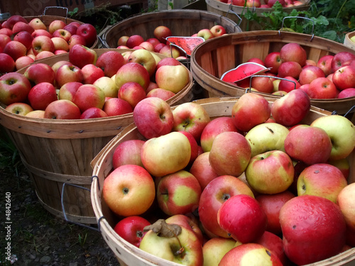 Baskets of apples photo