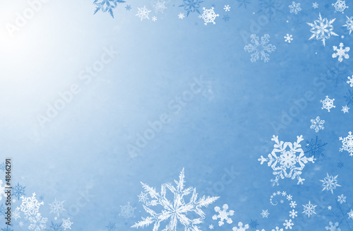winter photo