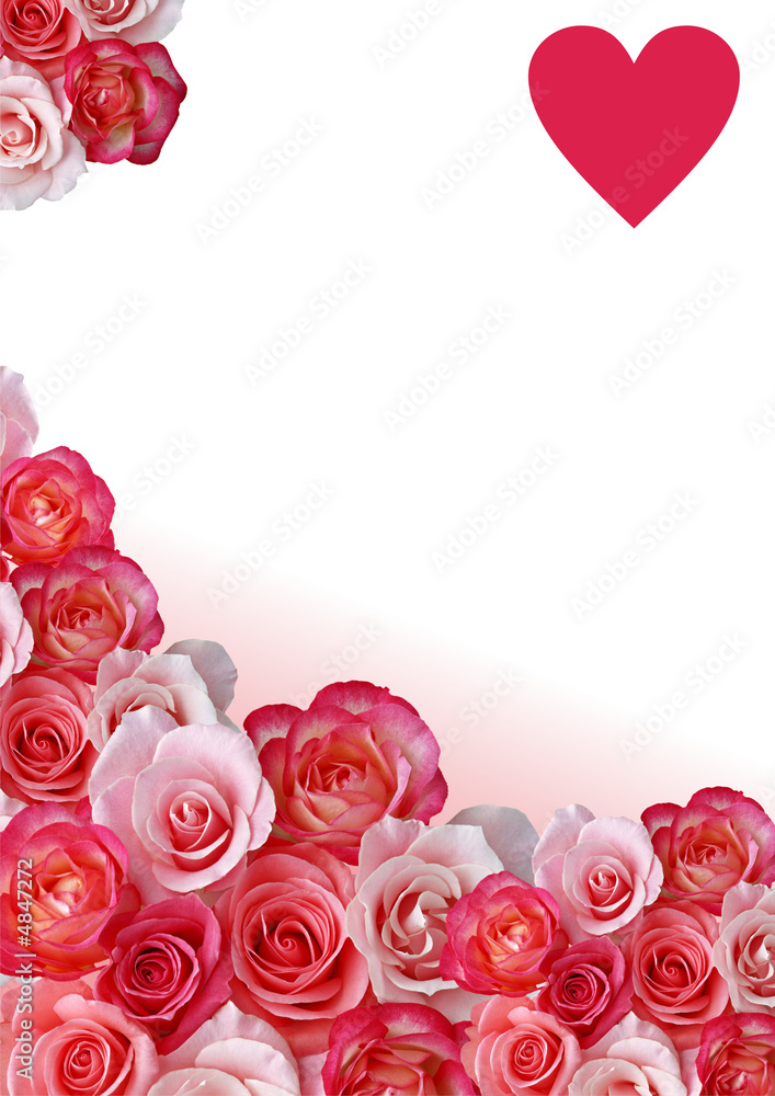 Abstract border, flowers, white and rose background Abstract border, flowers, white and rose background