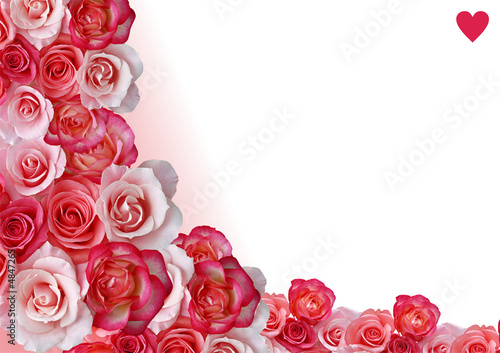 Abstract border, flowers, white and rose background