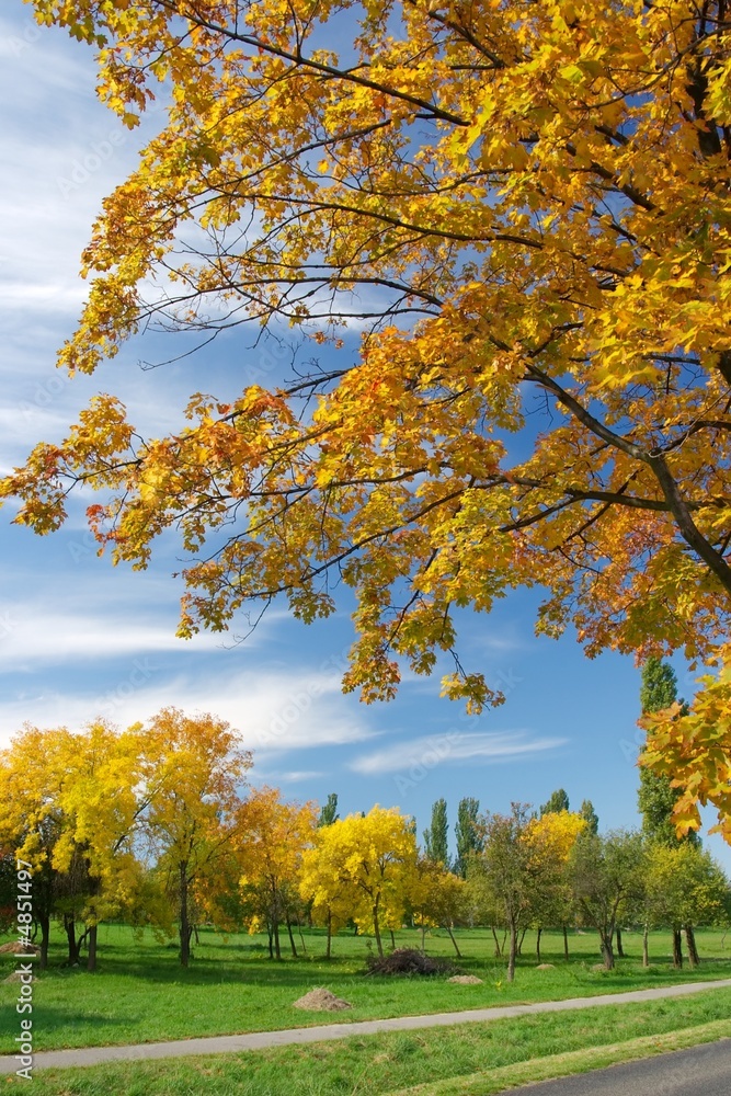 Naklejka premium Autumn