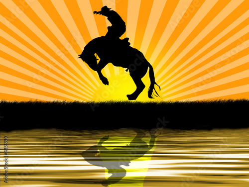 Bucking bronco