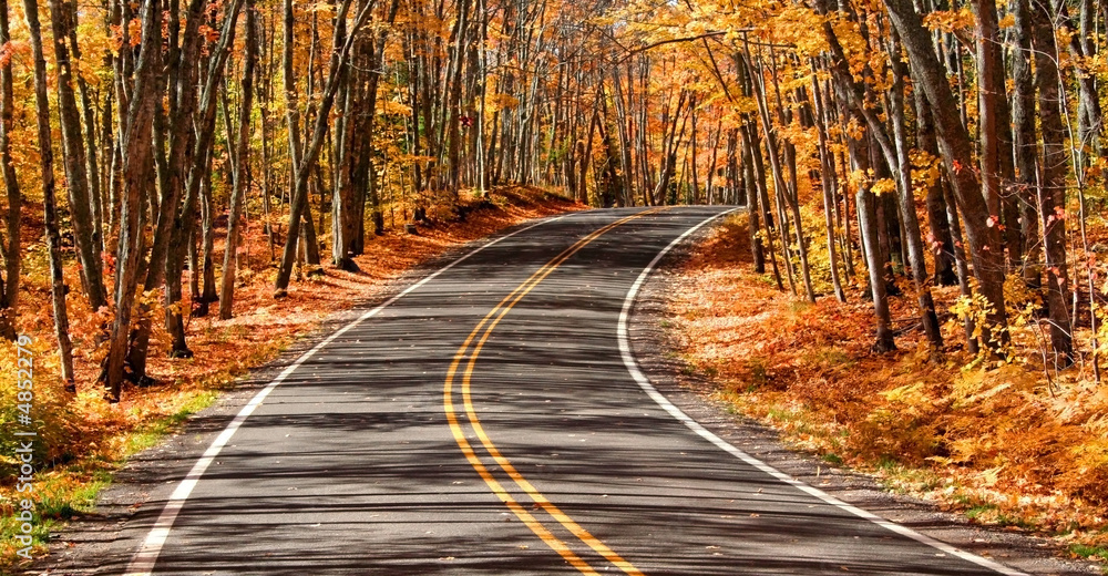 Naklejka premium Scenic Autumn Drive