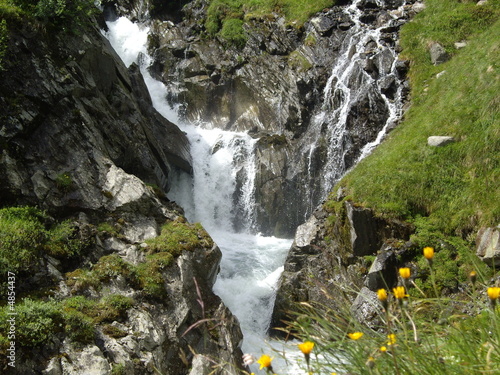 Wasserfall mit Blumen im Vordergrund