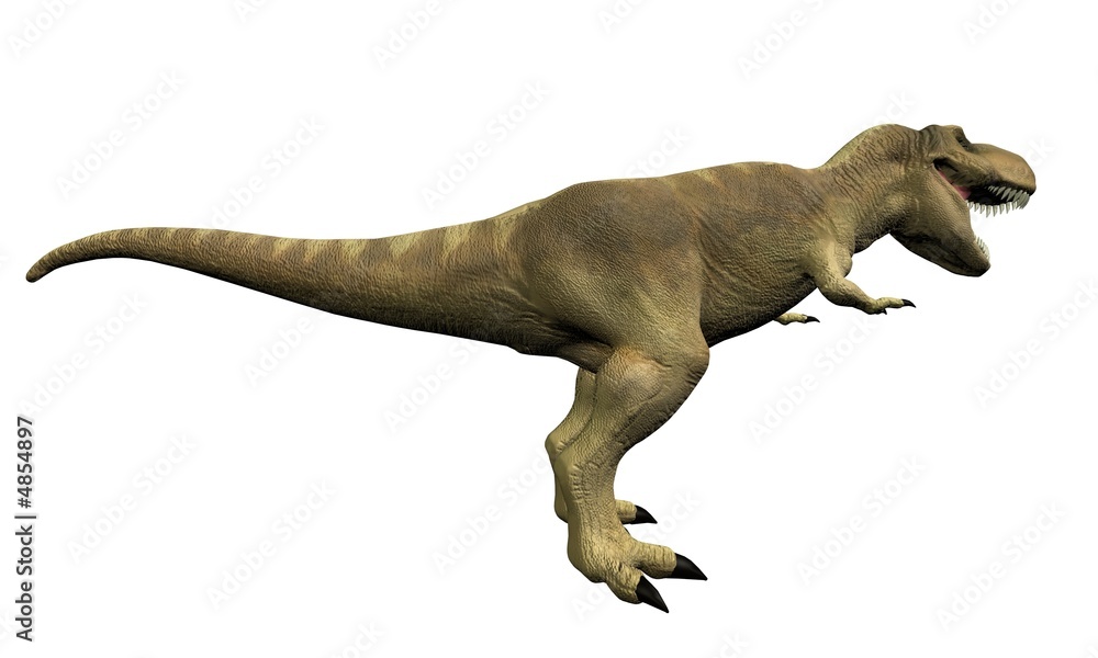 Tyrex Stock Illustration | Adobe Stock