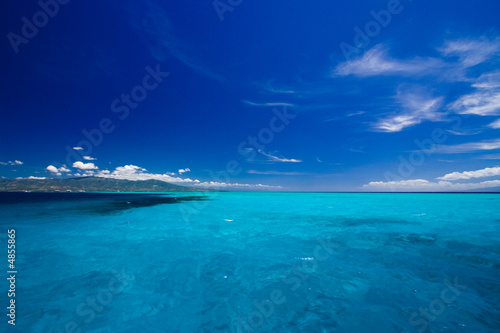 Fototapeta Naklejka Na Ścianę i Meble -  Caribbean sea view in paradise