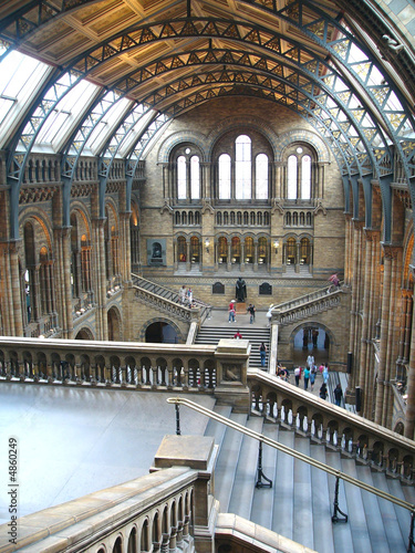 Natural History Museum, London #4860249