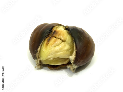 chestnut