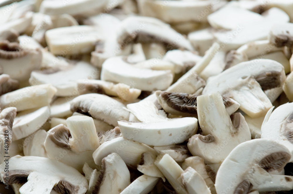 Champignon closeup Champignon closeup