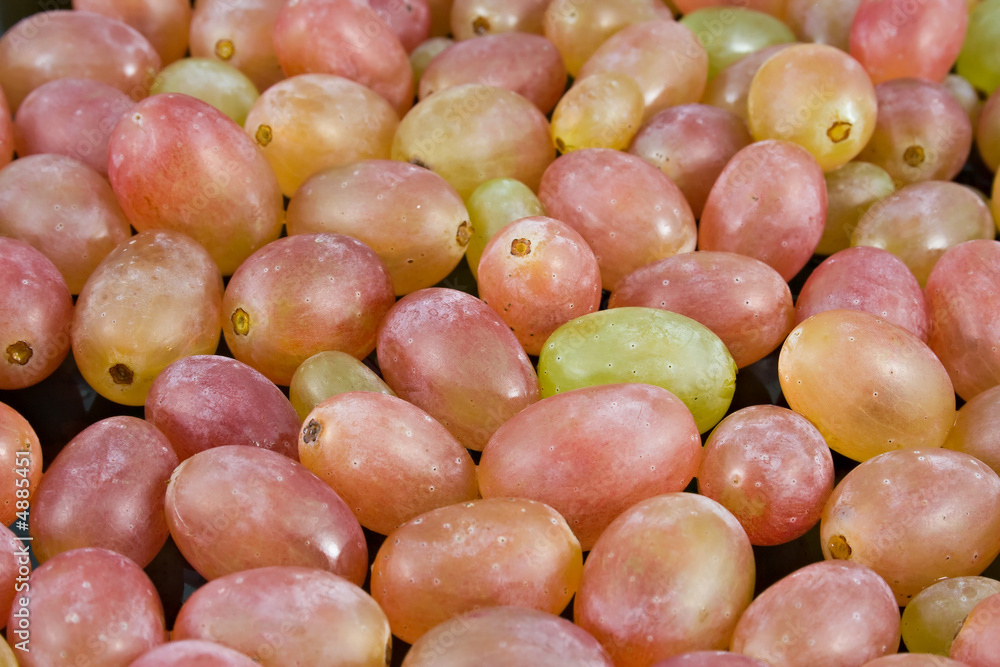 grape background grape background