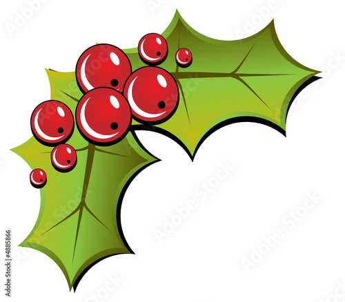Christmas holly illustration