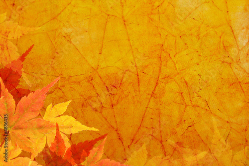 Vintage canvas background with  autumn leaves.