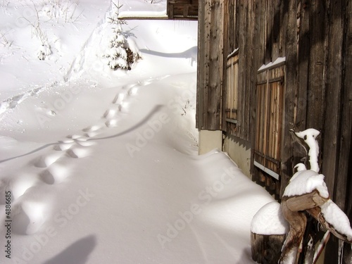Chalet montagnard - sports d'hiver