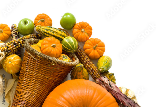 Cornucopia photo