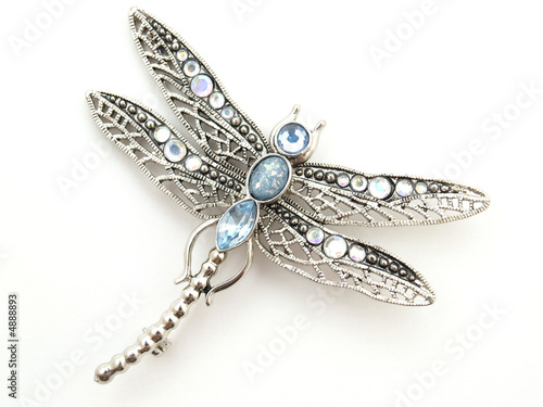 Canvas dragonfly jewelry