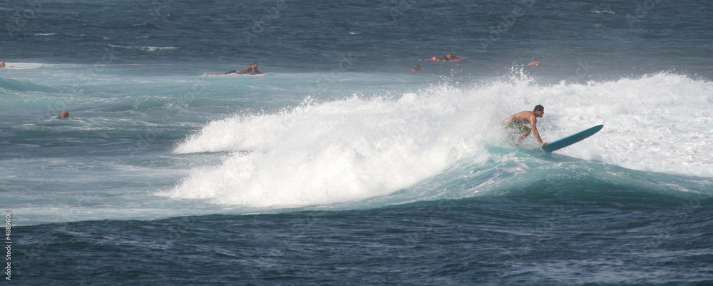 Obraz premium Panorama of a surfer in the ocean waves of Maui, Hawaii