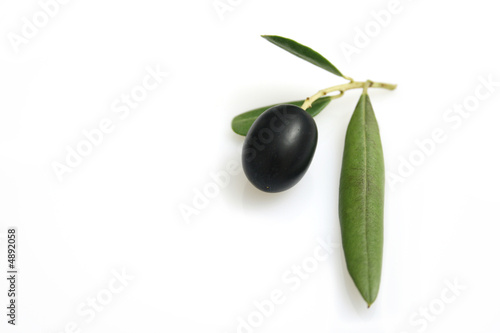 oliva nera con foglia photo