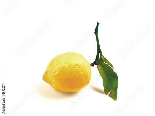 Zitrone seitlich mit Zweig und Blatt